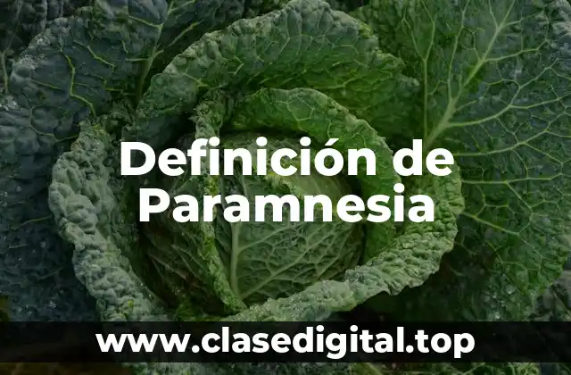 Definición de Paramnesia