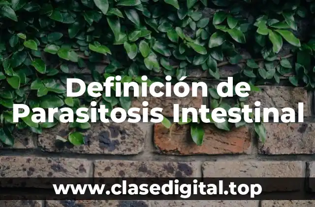 Definición Técnica de Parasitosis Intestinal