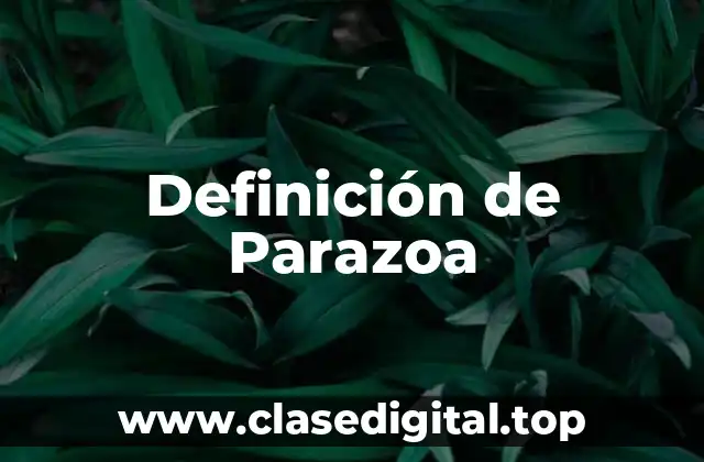 Definición de Parazoa