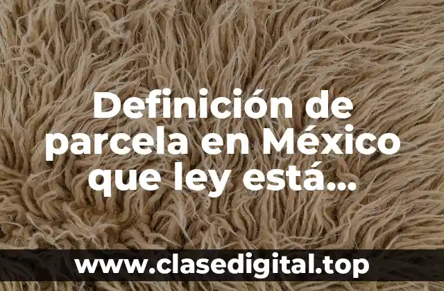 Definición de parcela en México que ley está fundamentada