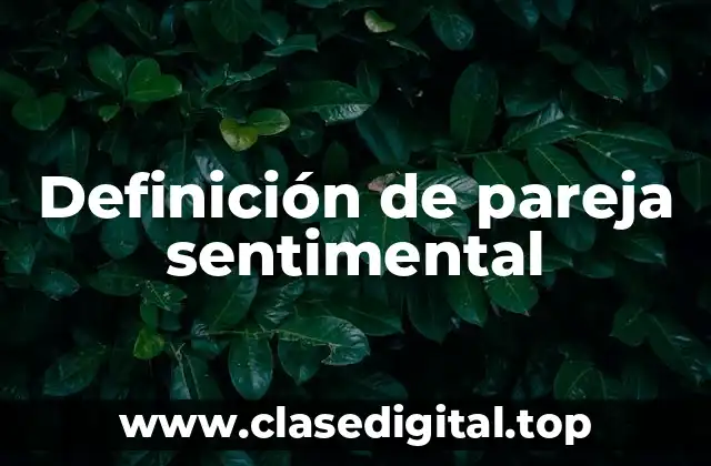 Definición de pareja sentimental