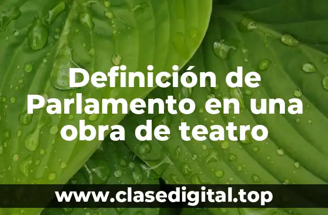 Definición técnica de Parlamento en una obra de teatro