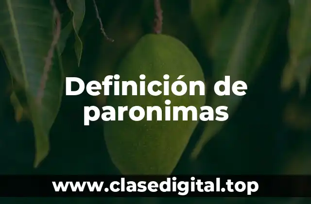 Definición de paronimas