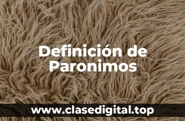 Definición técnica de Paronimo