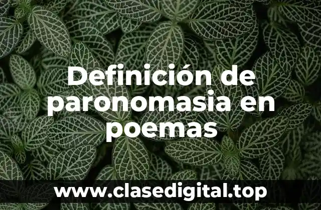 Definición de paronomasia en poemas