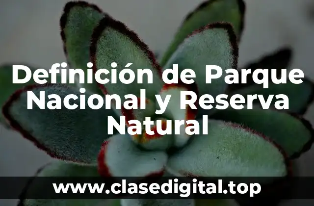 Definición de Parque Nacional y Reserva Natural