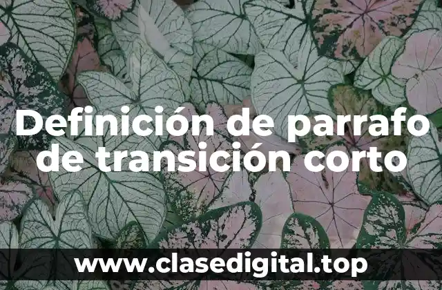 Definición de parrafo de transición corto
