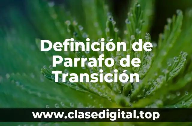 Definición técnica de Parrafo de Transición