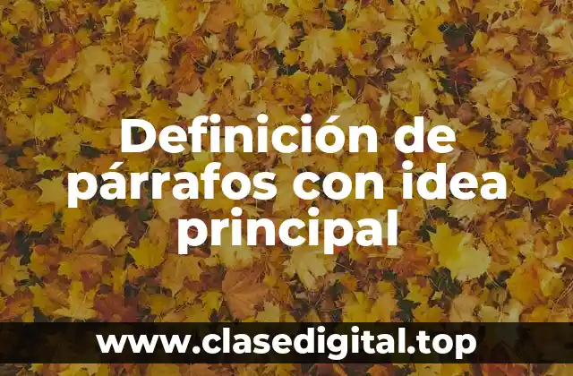 Definición de párrafos con idea principal
