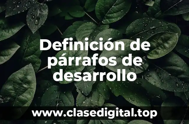 Definición de párrafos de desarrollo