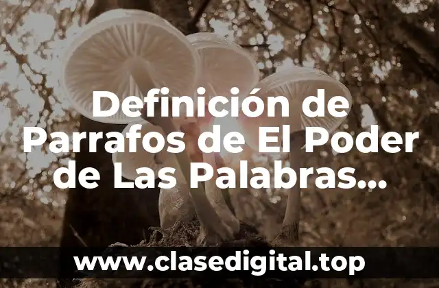 Definición de Parrafos de El Poder de Las Palabras Importantes