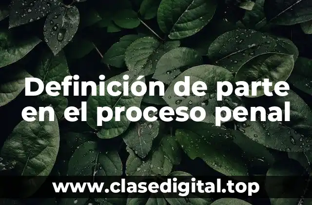 Definición de parte en el proceso penal