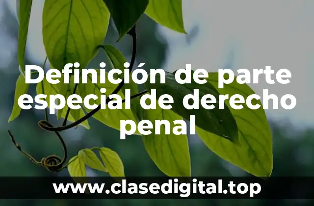 Definición de parte especial de derecho penal