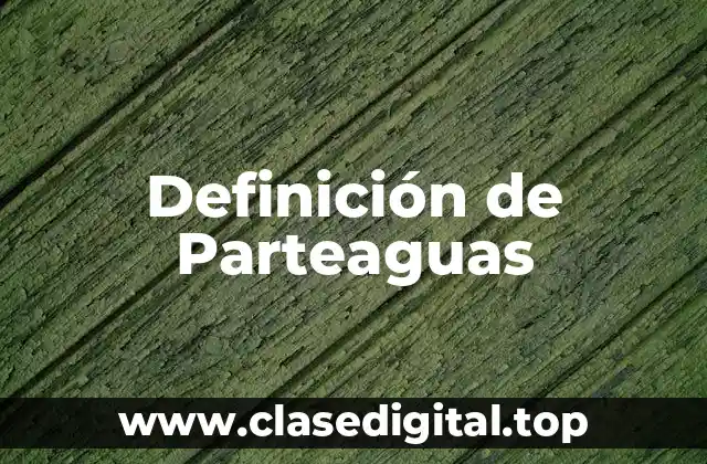 Definición de Parteaguas