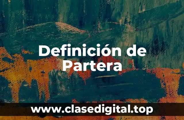 Definición técnica de Partera