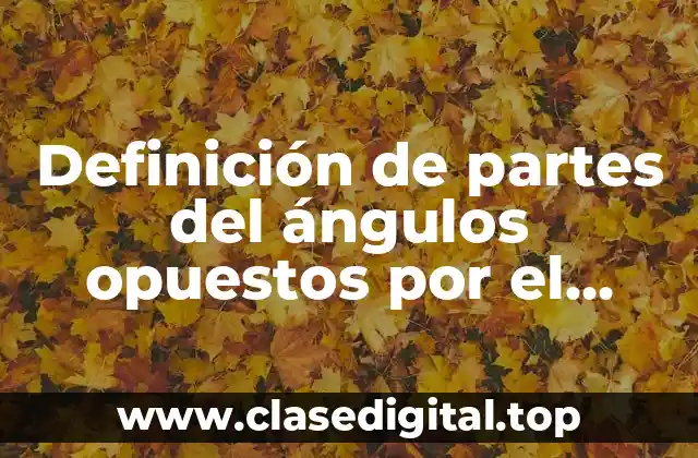 Definición de partes del ángulos opuestos por el vértice
