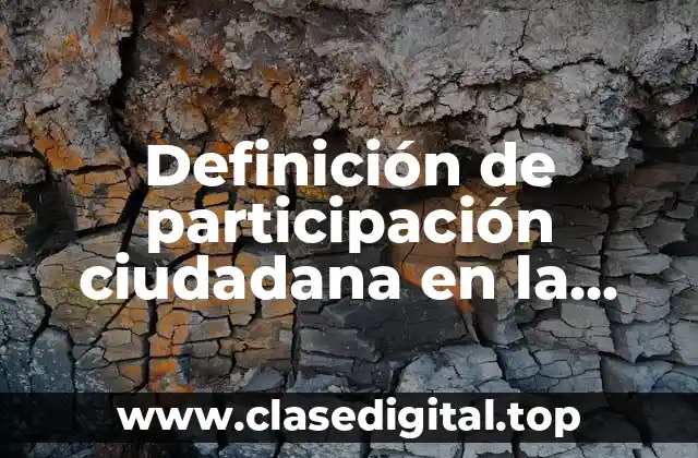 Definición de participación ciudadana en la escuela