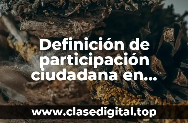 Definición de participación ciudadana en México