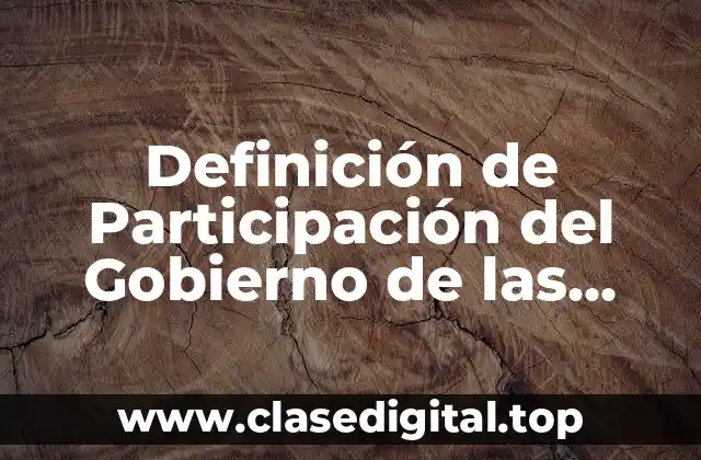Definición de Participación del Gobierno de las Políticas Públicas