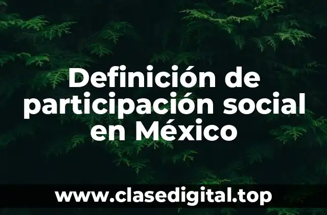 Definición de participación social en México