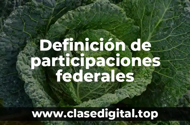 Definición de participaciones federales
