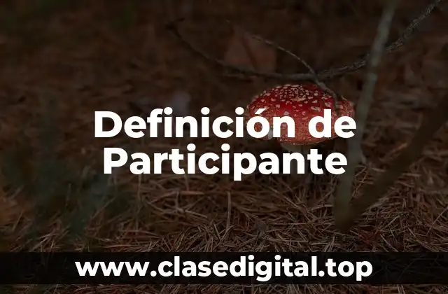 Definición de Participante