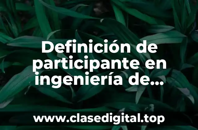 Definición de participante en ingeniería de software