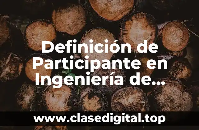 Definición técnica de participante en ingeniería de software