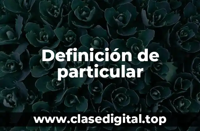 Definición de particular