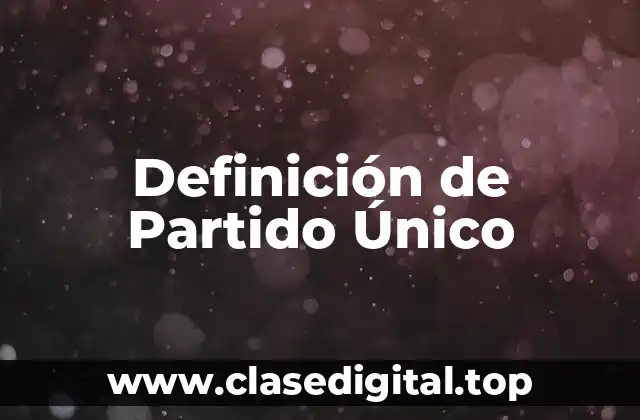 Definición de Partido Único