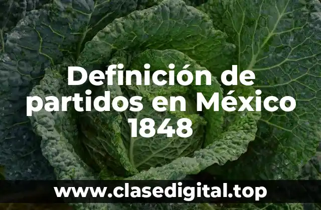 Definición de partidos en México 1848