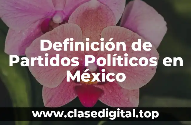 Definición de Partidos Políticos en México