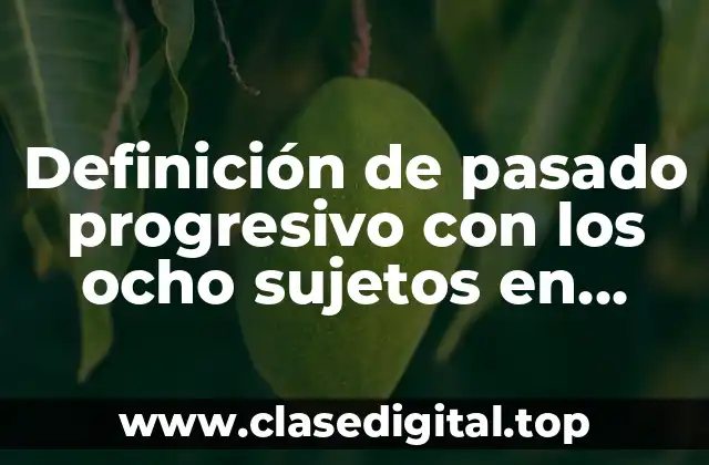 Definición de pasado progresivo con los ocho sujetos en afirmativas