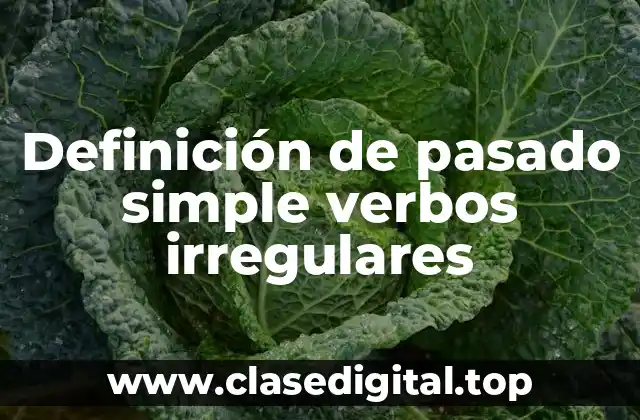 Definición de pasado simple verbos irregulares
