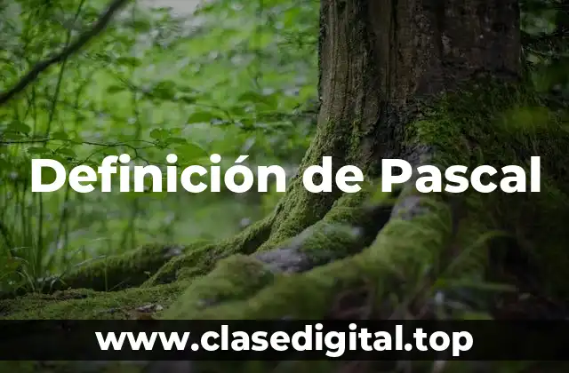 Definición técnica de Pascal