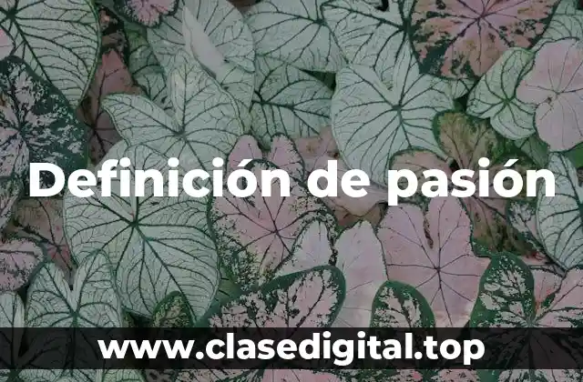 Definición de pasión