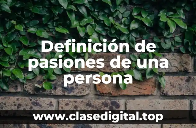 Definición de pasiones de una persona