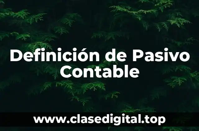 Definición de Pasivo Contable