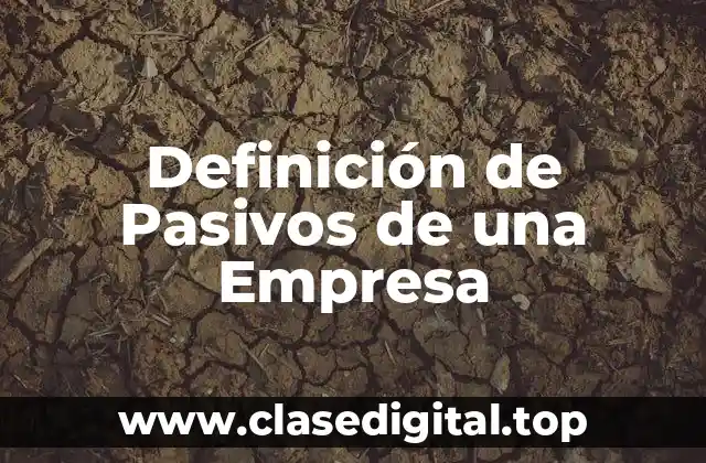 Definición de Pasivos de una Empresa