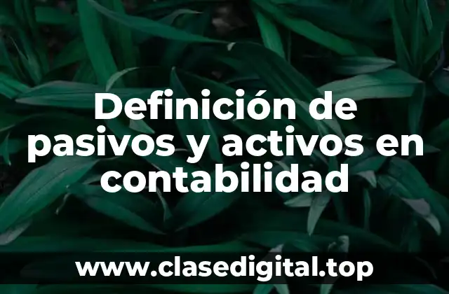 Definición de pasivos y activos en contabilidad