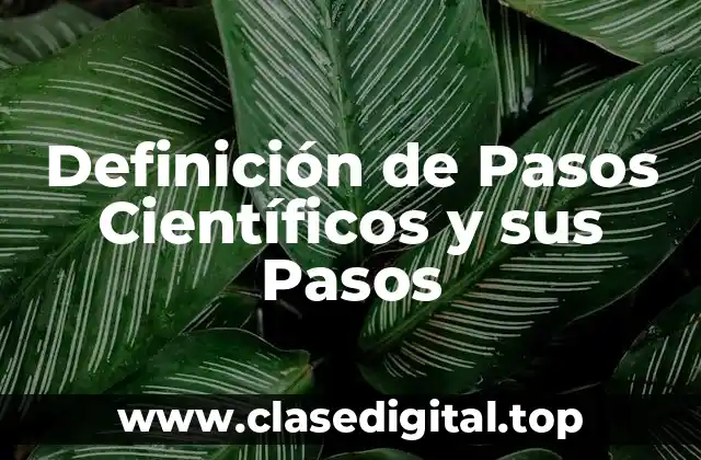 Definición de Pasos Científicos y sus Pasos
