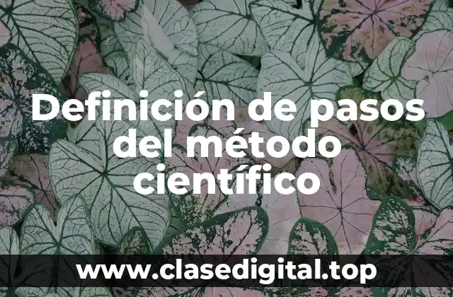 Definición técnica de pasos del método científico