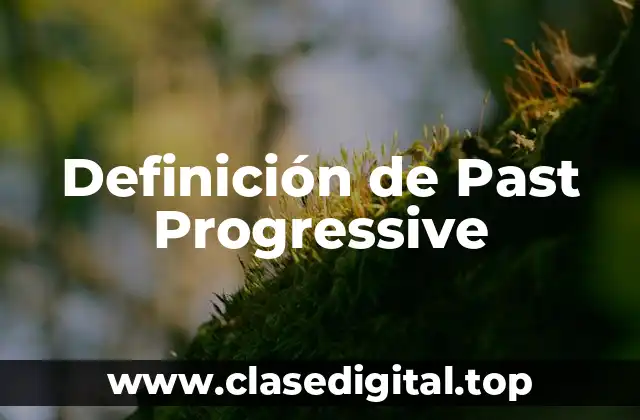 Ejemplos de Past Progressive