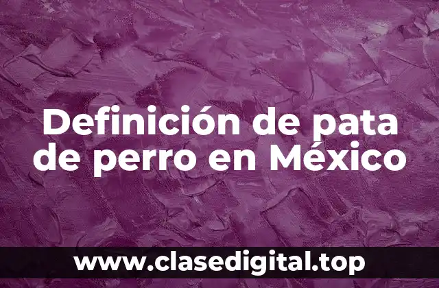 Definición de pata de perro en México