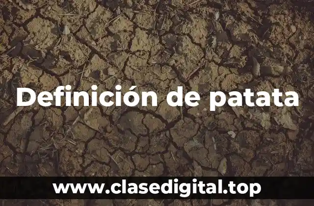 Definición de patata