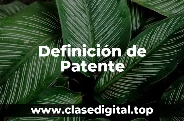 Definición de Patente