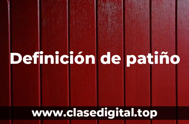 Definición de patiño