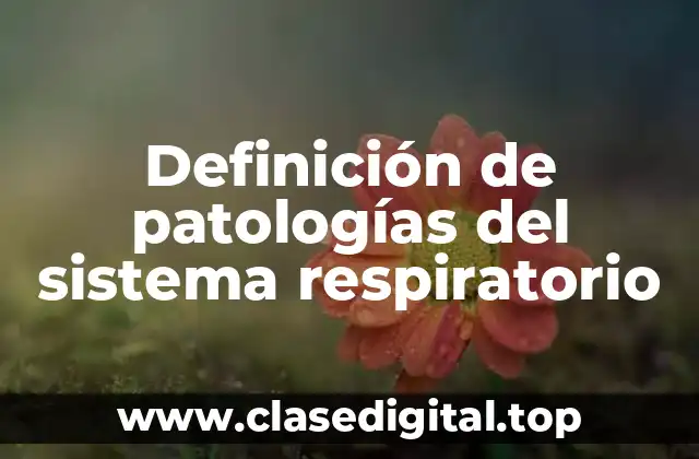 📗 Definición técnica de patologías del sistema respiratorio