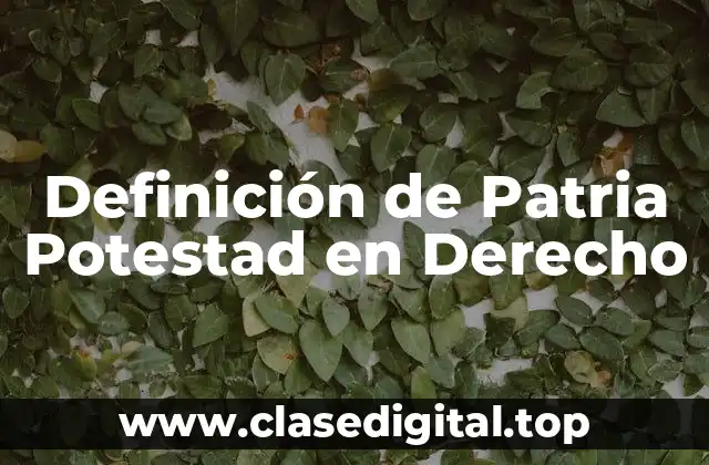 Definición de Patria Potestad en Derecho