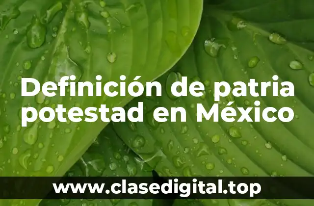 Definición técnica de patria potestad